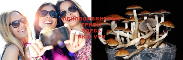 PSILOCYBIN Абинск