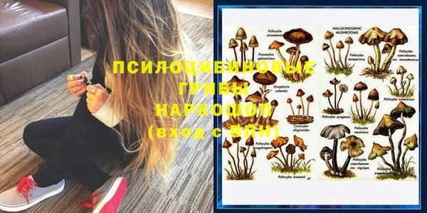 PSILOCYBIN Абинск