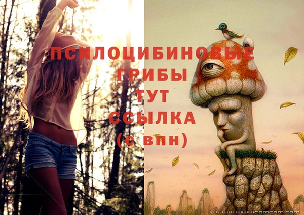 PSILOCYBIN Абинск