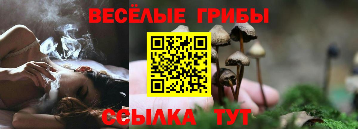 Псилоцибиновые грибы GOLDEN TEACHER  Вход с VPN  Псилоцибиновые грибы мухоморы  Советский 